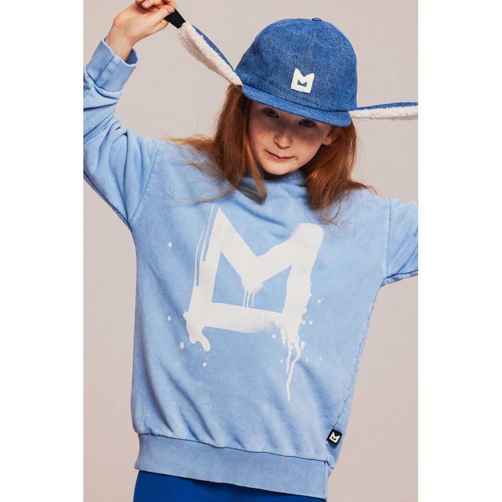 Blue skate hoodie 2025